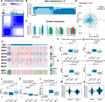 Microsatellite instability-related prognostic risk score (MSI-pRS) defines a subset of lung squamous cell carcinoma (LUSC) patients with genomic instability and poor clinical outcome